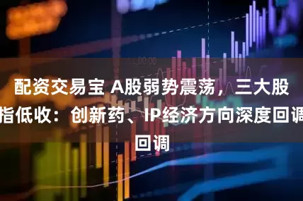 配资交易宝 A股弱势震荡，三大股指低收：创新药、IP经济方向深度回调