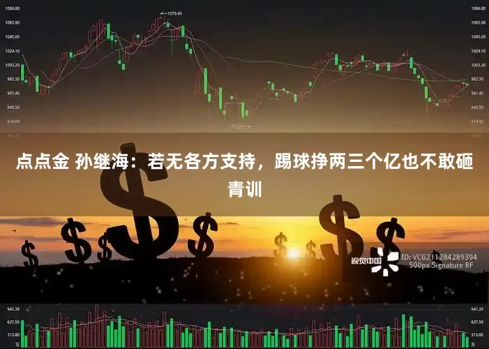 点点金 孙继海：若无各方支持，踢球挣两三个亿也不敢砸青训