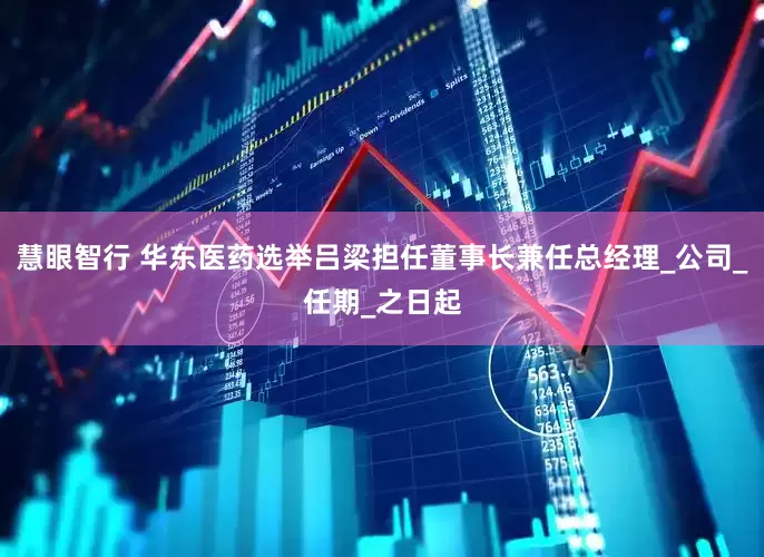 慧眼智行 华东医药选举吕梁担任董事长兼任总经理_公司_任期_之日起