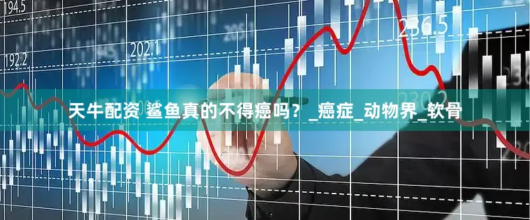 天牛配资 鲨鱼真的不得癌吗？_癌症_动物界_软骨