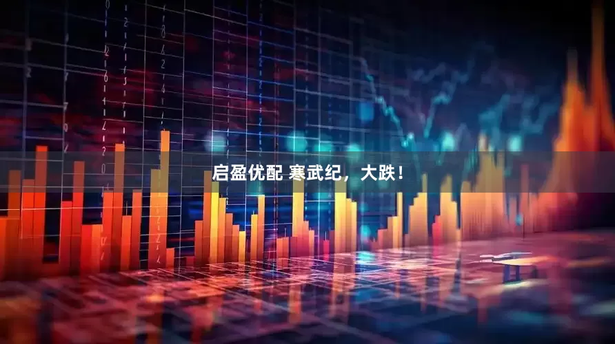 启盈优配 寒武纪，大跌！